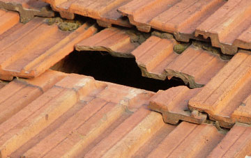 roof repair Lodgebank, Shropshire