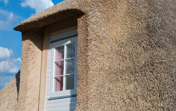 Lodgebank thatch roof disadvantages